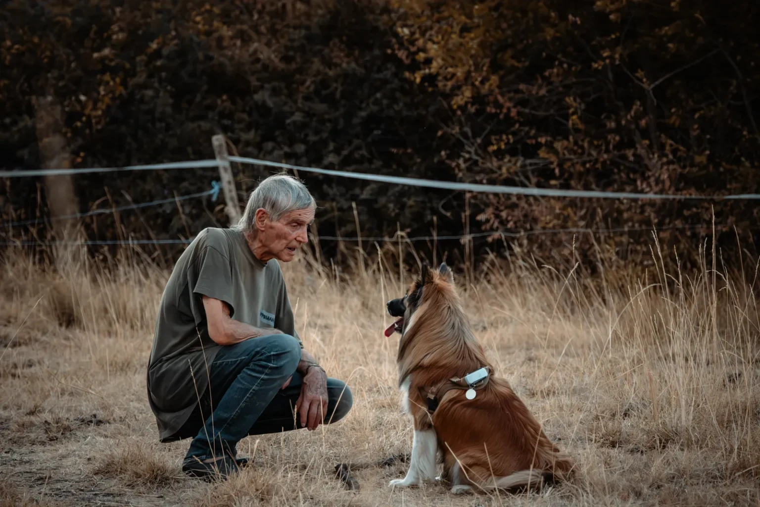 Homme et son chien face à face dans un champ