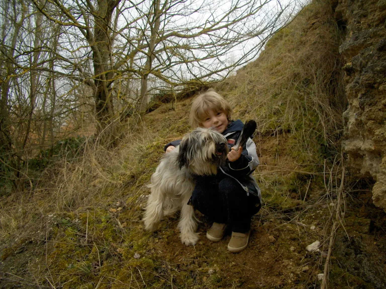 Hugo enfant, accroupi dans l’herbe avec Aro, un chien au long poil gris et blanc
